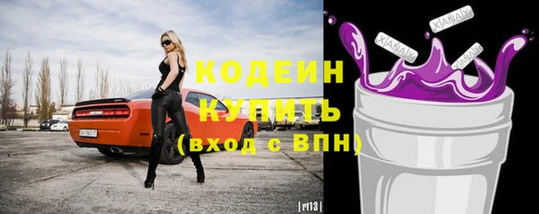 гашик Дмитриев