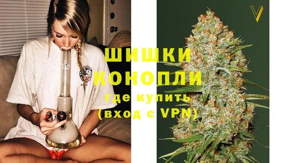 гашик Дмитриев
