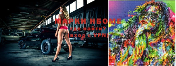 гашик Дмитриев