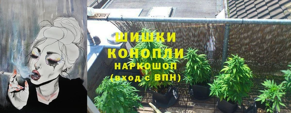 гашик Дмитриев