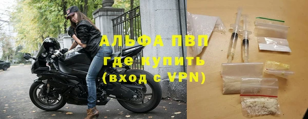 гашик Дмитриев