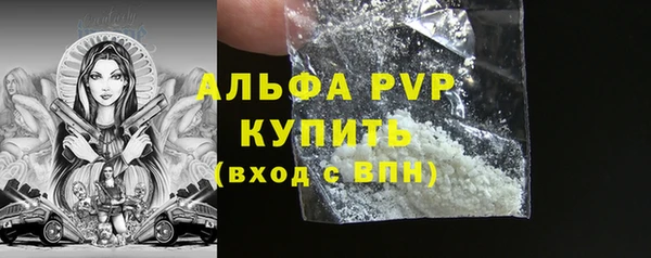 гашик Дмитриев