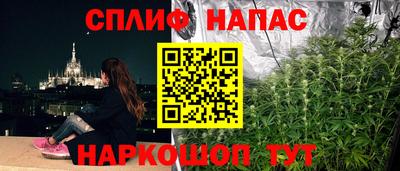 Альфа ПВП Кандалакша