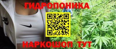 ALPHA PVP Камышлов