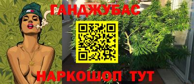 Альфа ПВП Кандалакша
