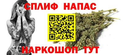 Альфа ПВП Кандалакша