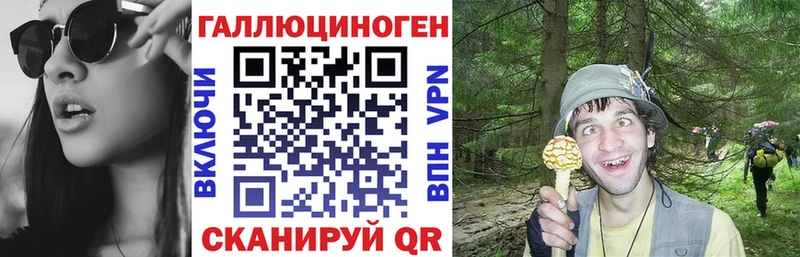 Псилоцибиновые грибы Magic Shrooms  как найти   Осинники 