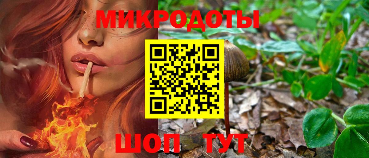 Осинники  закладки  Вход с VPN  Псилоцибиновые грибы прущие грибы  Псилоцибиновые грибы GOLDEN TEACHER 
